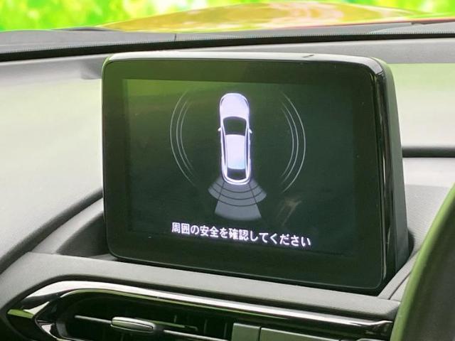 20594834_carP_l_6.jpg