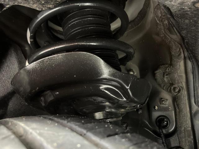 23169896_carP_l_20.jpg
