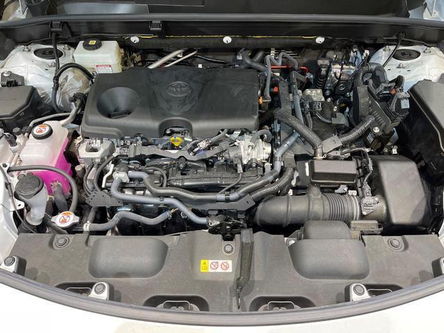 21009847_carP_l_16.jpg