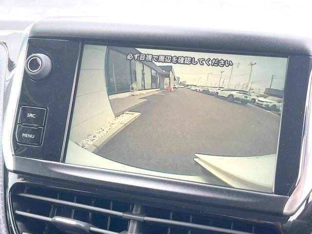 19897541_carP_l_10.jpg