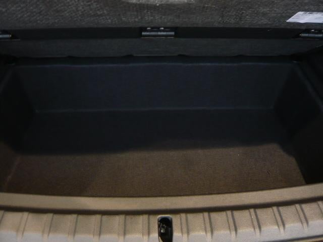 18404398_carP_l_7.jpg