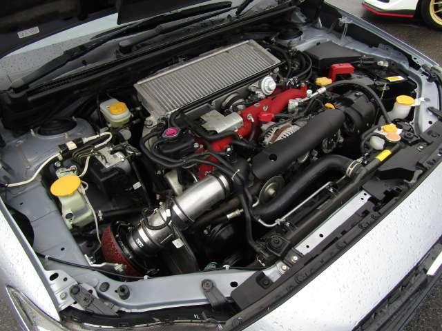 22898139_carP_l_18.jpg
