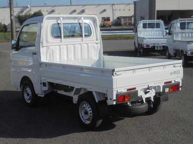 20711359_carP_l_4.jpg