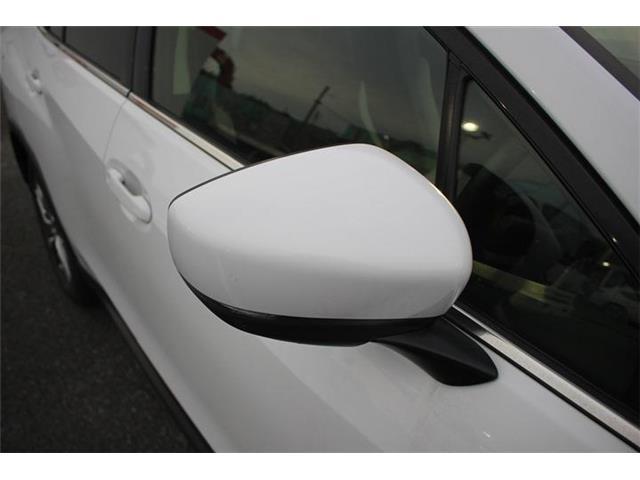 b1ec3224a2007cc81f40db6baa835797.jpg
