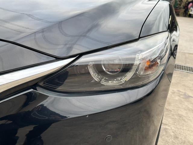 21965007_carP_l_6.jpg