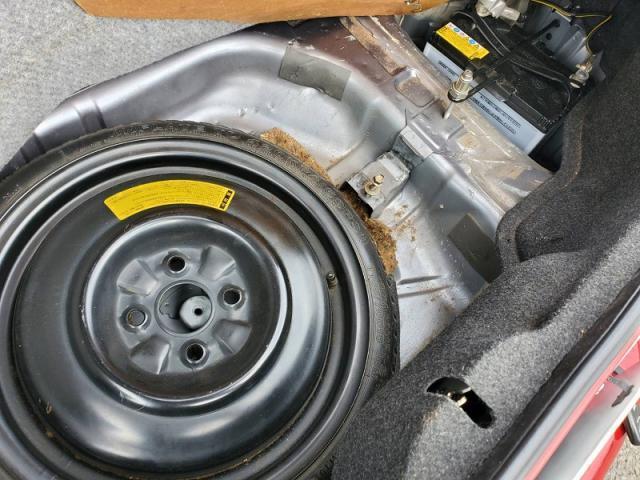 21800308_carP_l_7.jpg