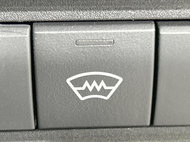 21765237_carP_l_17.jpg
