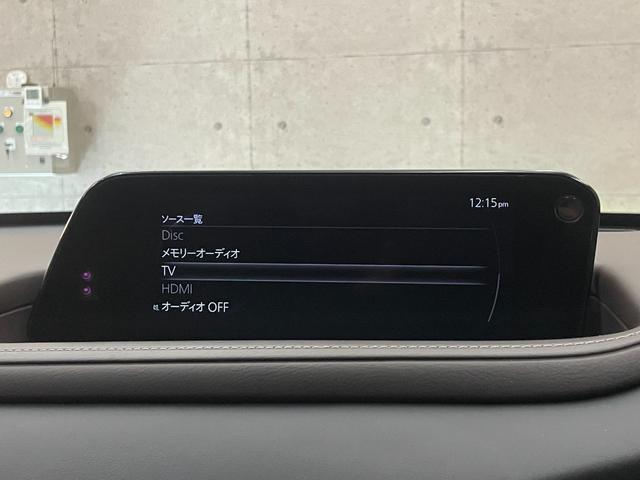 19750548_carP_l_6.jpg