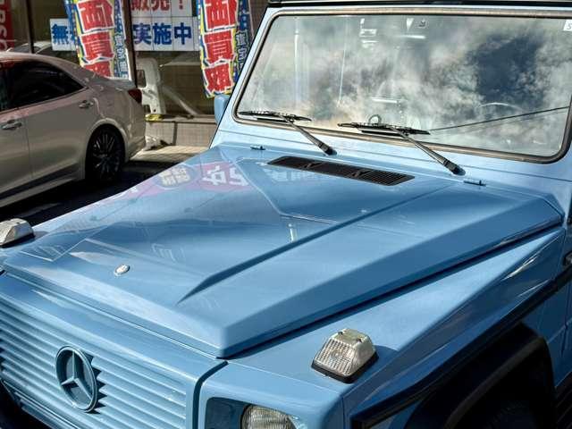 20724532_carP_l_13.jpg