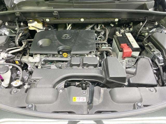 18953250_carP_l_16.jpg