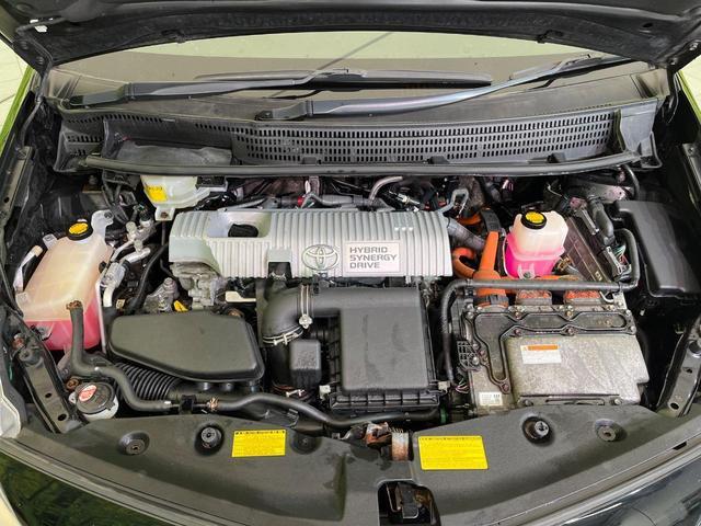 21637654_carP_l_16.jpg