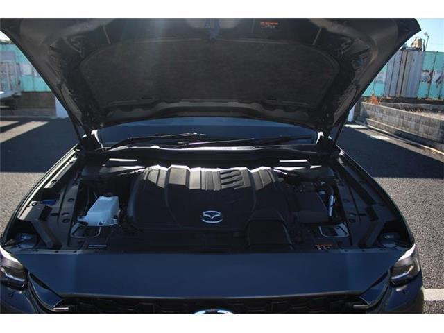 5ac76e090a654c1000750891769dd2ef.jpg
