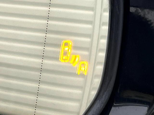 22467859_carP_l_13.jpg