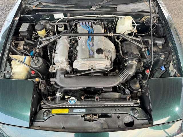 23050429_carP_l_15.jpg