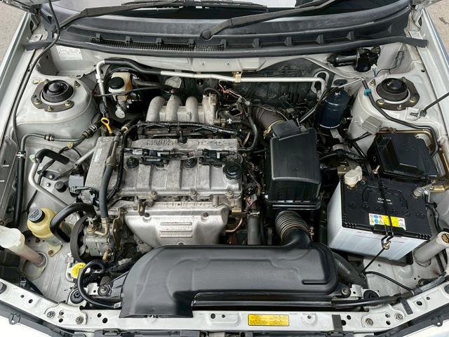 0561562A30260226W00117.jpg