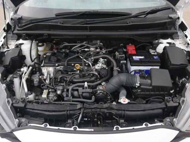 22354209_carP_l_17.jpg