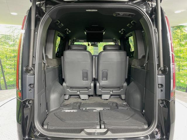 21061965_carP_l_5.jpg