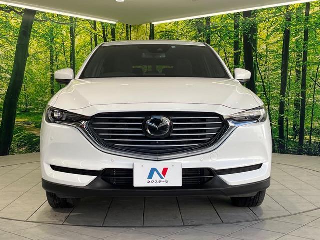 21218734_carP_l_9.jpg