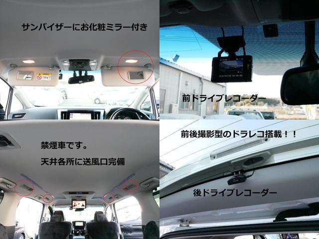 1000556A30260309W00117.jpg