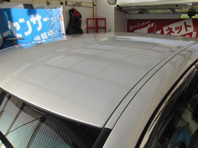 19976604_carP_l_8.jpg