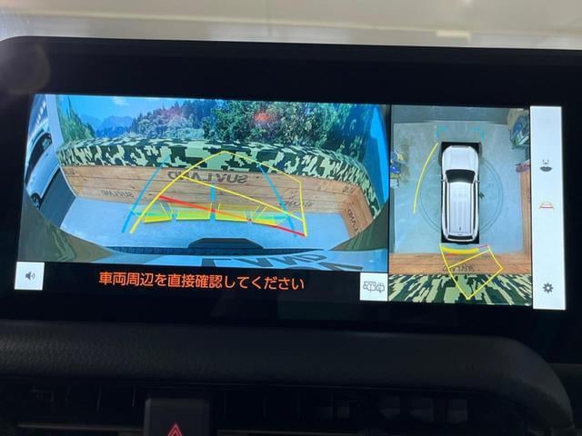18229108_carP_l_4.jpg