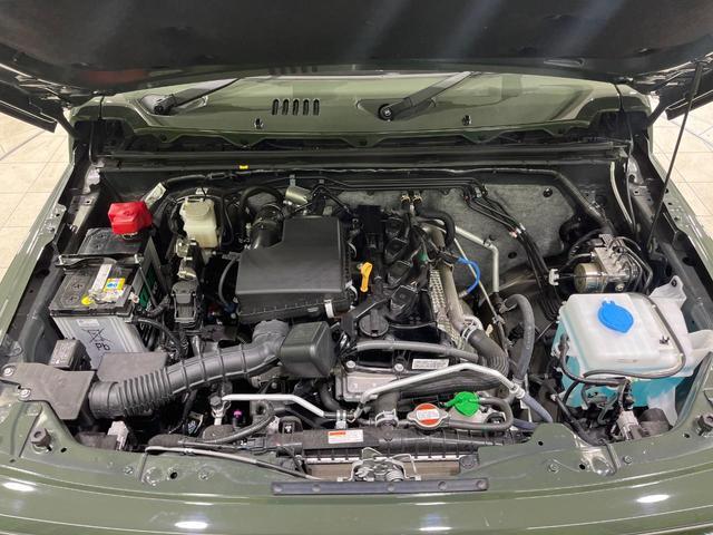 20923505_carP_l_16.jpg