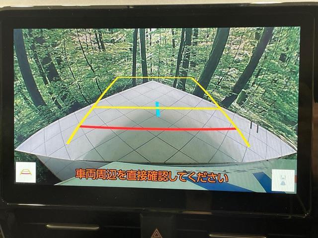 21817801_carP_l_10.jpg
