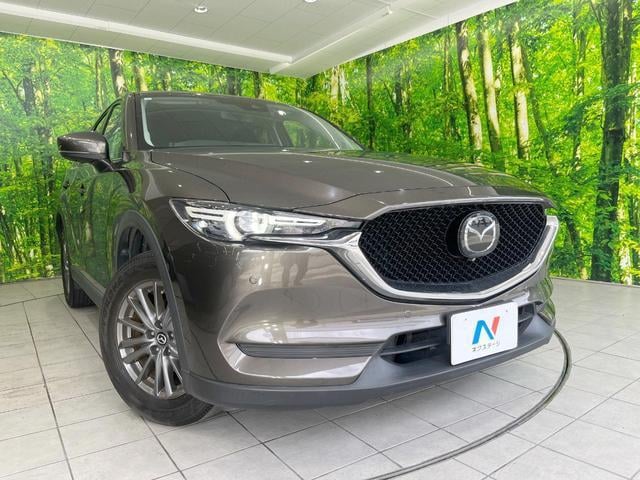 18921133_carP_l_7.jpg