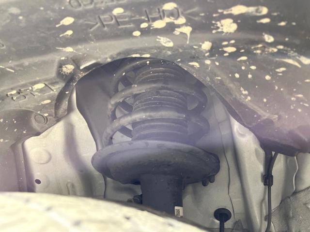 21853544_carP_l_20.jpg