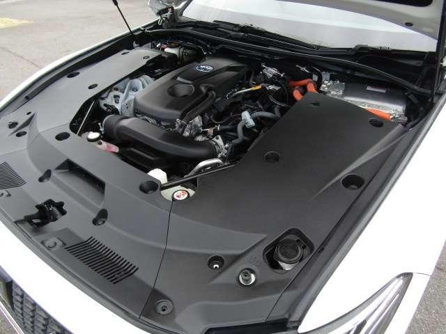 22932296_carP_l_12.jpg