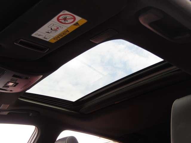 22932296_carP_l_5.jpg