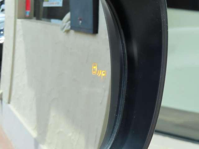 22677016_carP_l_10.jpg