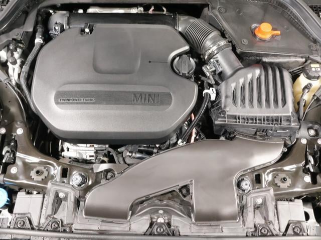 17194102_carP_l_17.jpg