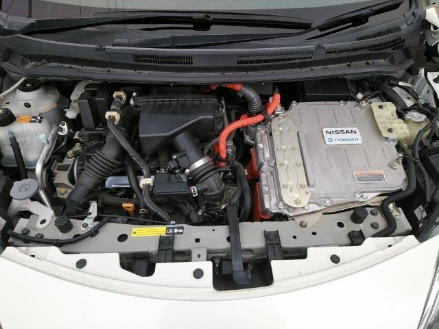 19579780_carP_l_5.jpg