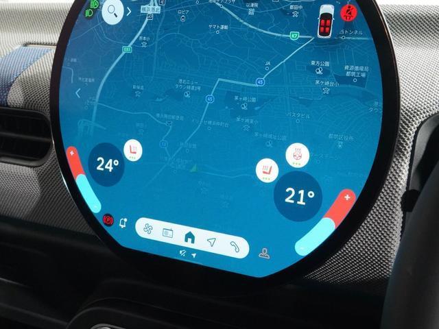 21342833_carP_l_14.jpg