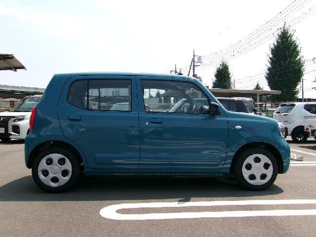 20384767_carP_l_10.jpg
