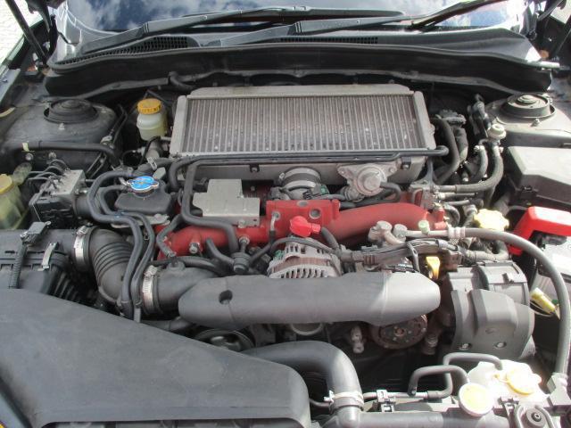 22665398_carP_l_16.jpg