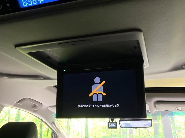 22680613_carP_l_13.jpg