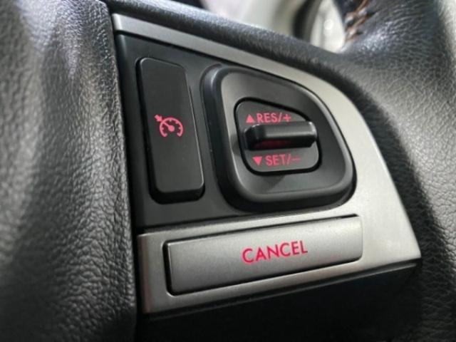 c2dbb8672576e3dfcd73d2573178cd5e.jpeg