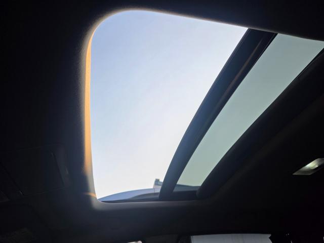 a6a784a565b022805938d82ca3e980a3.jpeg