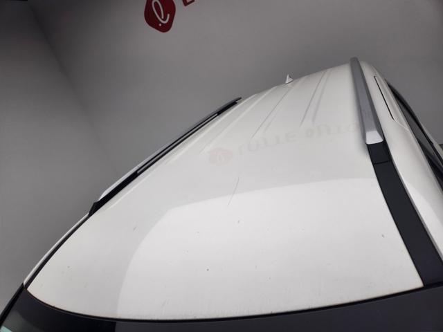 lotterental_16464564_wgYfb_3.jpg