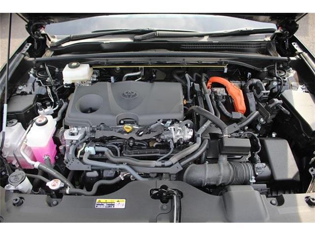 869b19e115157e51a7a6db0473876ebf.jpg
