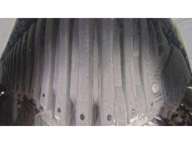 20678627_carP_l_4.jpg