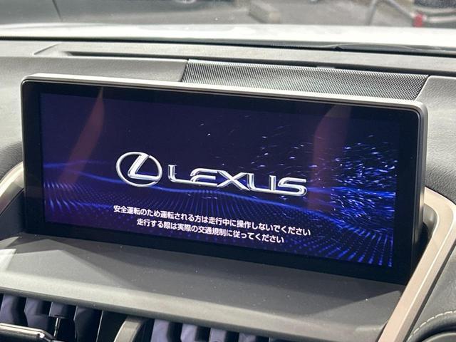 21966760_carP_l_15.jpg