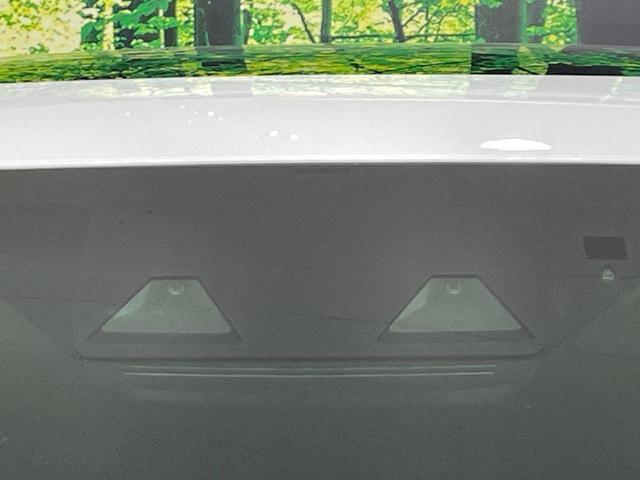 21854664_carP_l_17.jpg