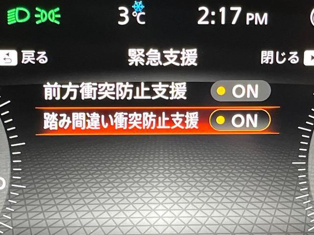21583266_carP_l_10.jpg