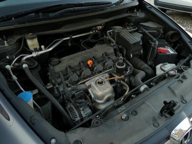 21097073_carP_l_17.jpg