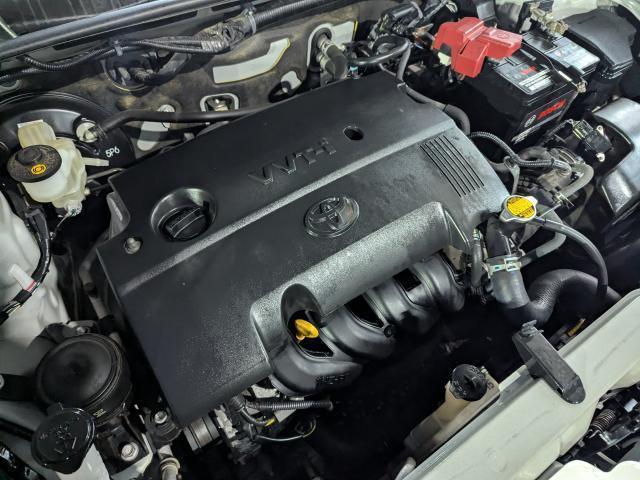 20803576_carP_l_2.jpg