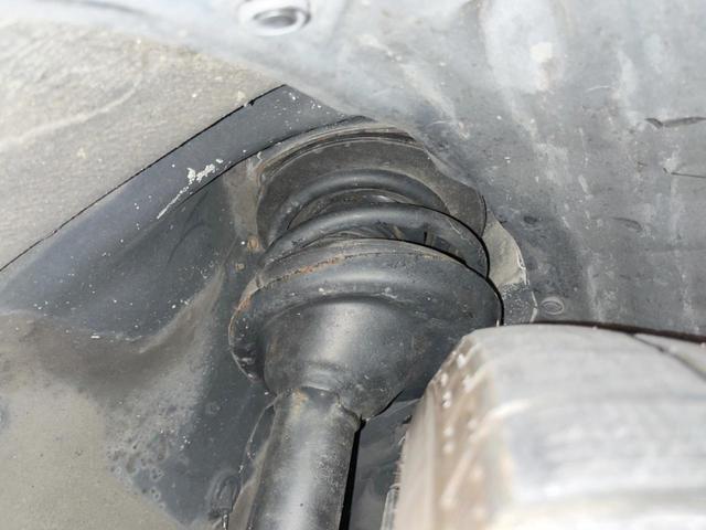 20905595_carP_l_20.jpg