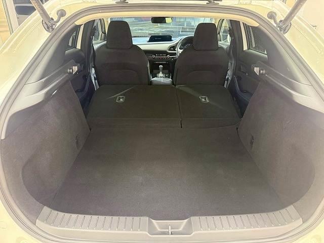 21829703_carP_l_7.jpg